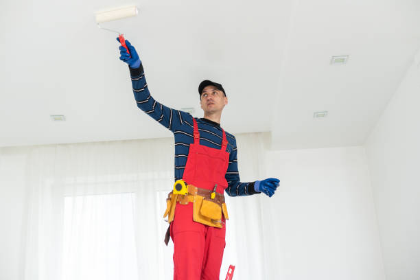 Best Attic Mold Removal  in George West, TX